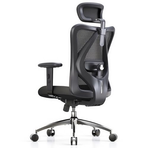 SIHOO M18 Ergonomic Office Chair, Mesh Back Desk Chair with Headrest