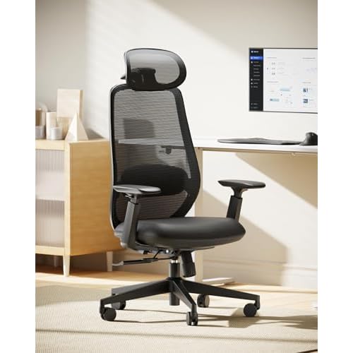 ProtoArc EC200 Ergonomic Office Chair with Adjustable Seat Depth